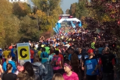 2018 Vokolo Priglu