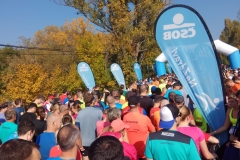 2018 Vokolo Priglu